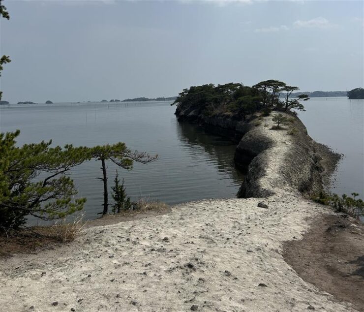 馬の背の先端まで歩いてるイメージ画像です