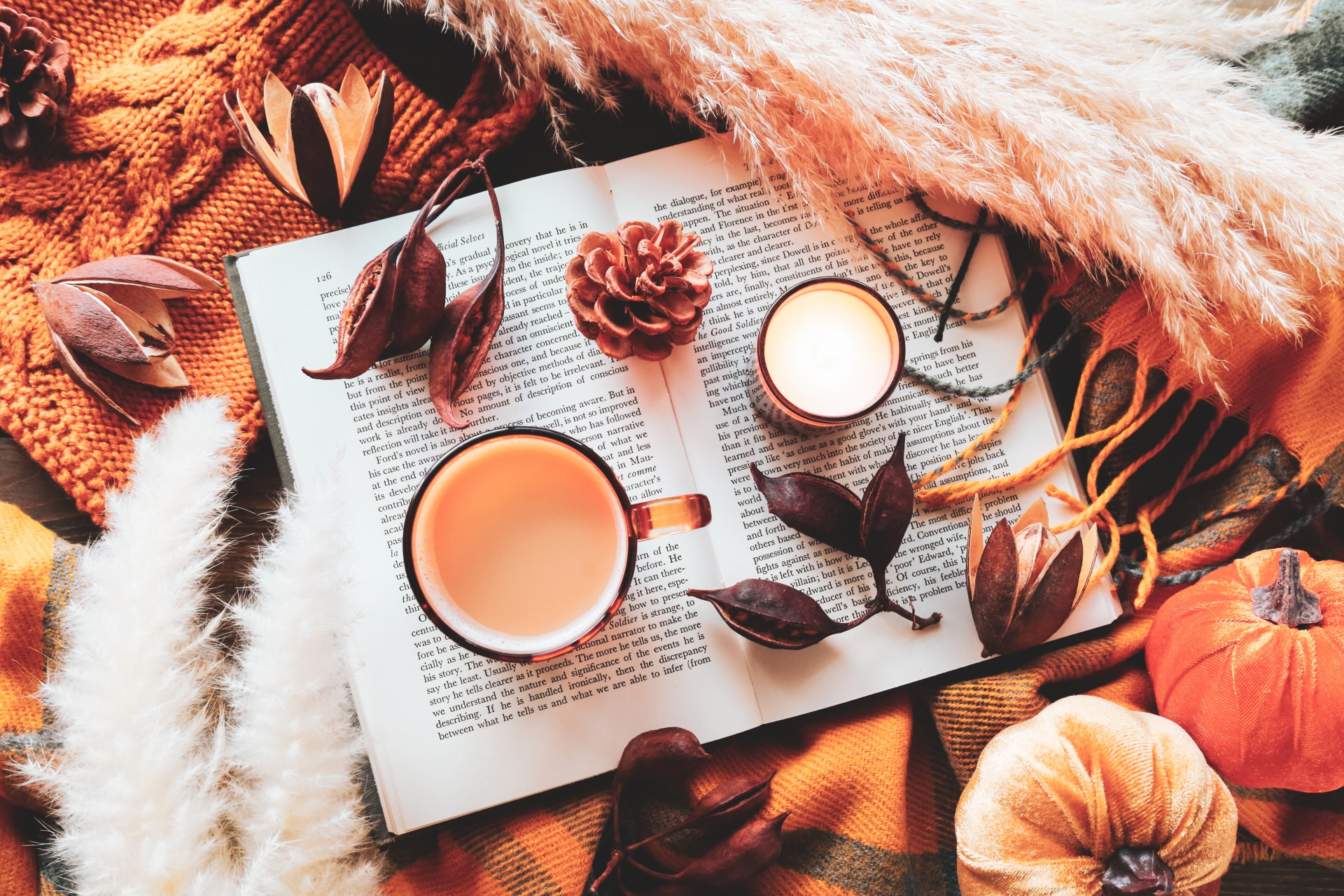 大人気カルディの人気お菓子ランキングのイメージ